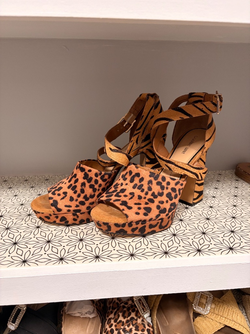 Gianni Bini